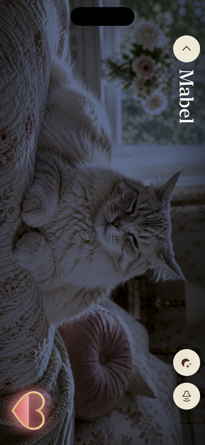 Mabel resting in Purr's moonlight setting